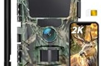 I 6 Migliori Smartphone per Fotografia Notturna